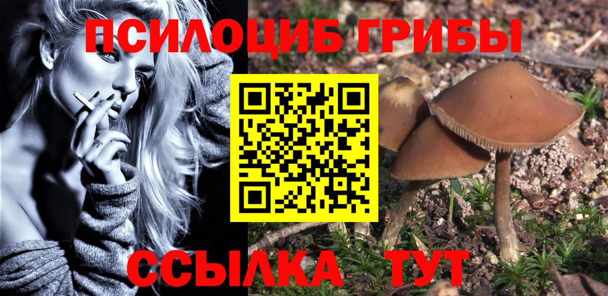 Галлюциногенные грибы Psilocybine cubensis Хабаровск