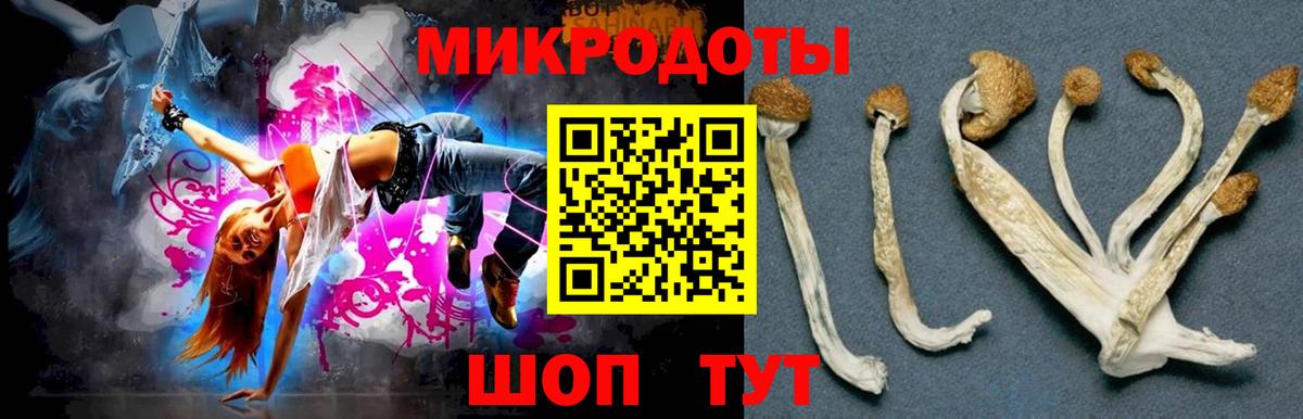 Псилоцибиновые грибы мухоморы  Вход с VPN  Хабаровск 